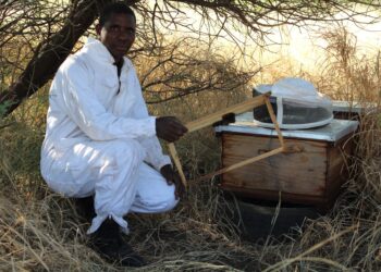 MXHAAAA! TODI YA GO TŠWA PHAGONG….!!!