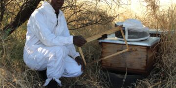 MXHAAAA! TODI YA GO TŠWA PHAGONG….!!!