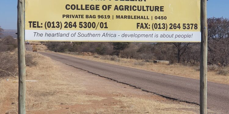 NA GO NA LE BOMMETLA-ŠAPO-LA-TLALA TOMPI SELEKA?