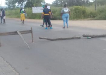 MASEPALA WA TZANEEN GA O RE THEELETŠE