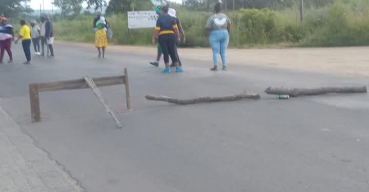 MASEPALA WA TZANEEN GA O RE THEELETŠE