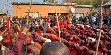 BA ILE BA PHELA … BA BOWA BA PHELA