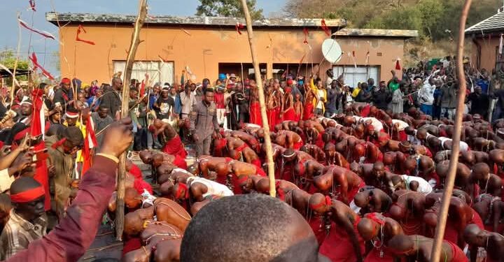 BA ILE BA PHELA … BA BOWA BA PHELA