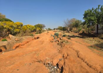 MAEMO A DITSELA TŠA MOTSE WA SEPHAKU A A HLOBAETŠA