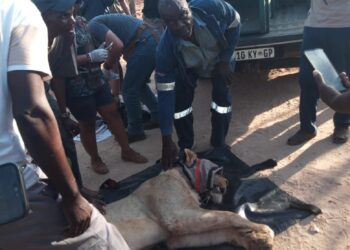 TAU YEO E BOLAILEGO DIRUIWA E HWEDITŠWE