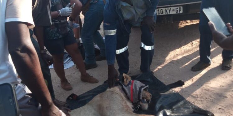 TAU YEO E BOLAILEGO DIRUIWA E HWEDITŠWE