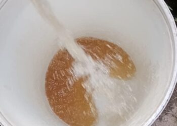 MEETSE A GO FETOGA MMALA A HLOTŠE LETŠHOGO SESHEGO