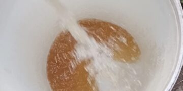 MEETSE A GO FETOGA MMALA A HLOTŠE LETŠHOGO SESHEGO