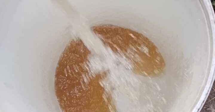 MEETSE A GO FETOGA MMALA A HLOTŠE LETŠHOGO SESHEGO